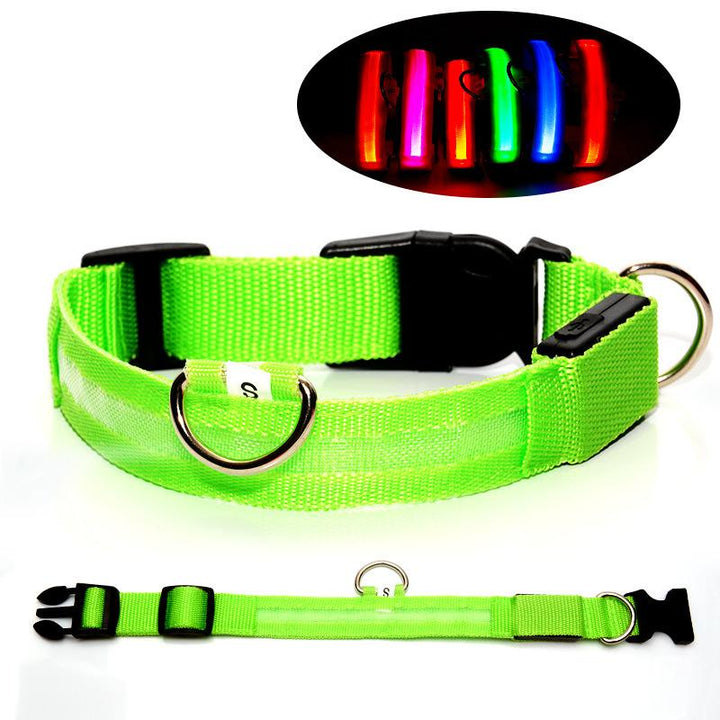 Nylon led dog collar best sale